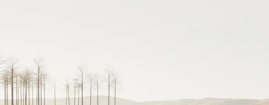 Minimal retreat landscape in soft neutral tones