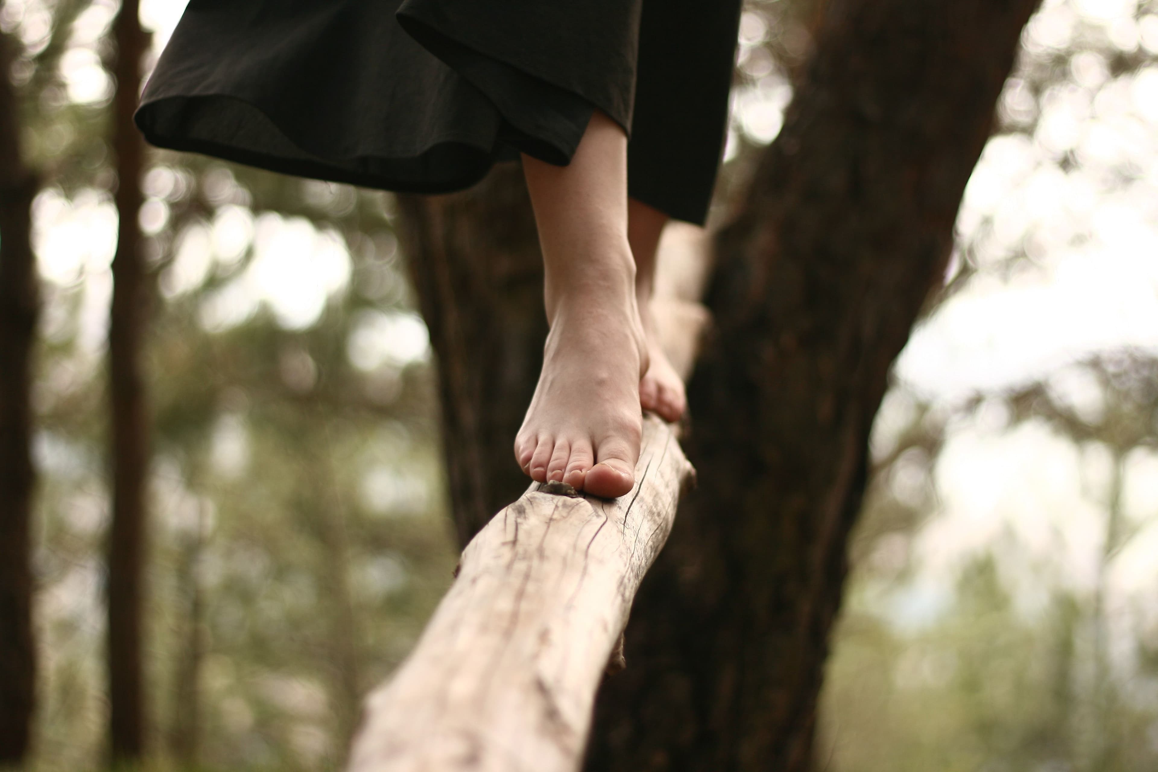 Sacred Movement vs. Sedentarism workshop image