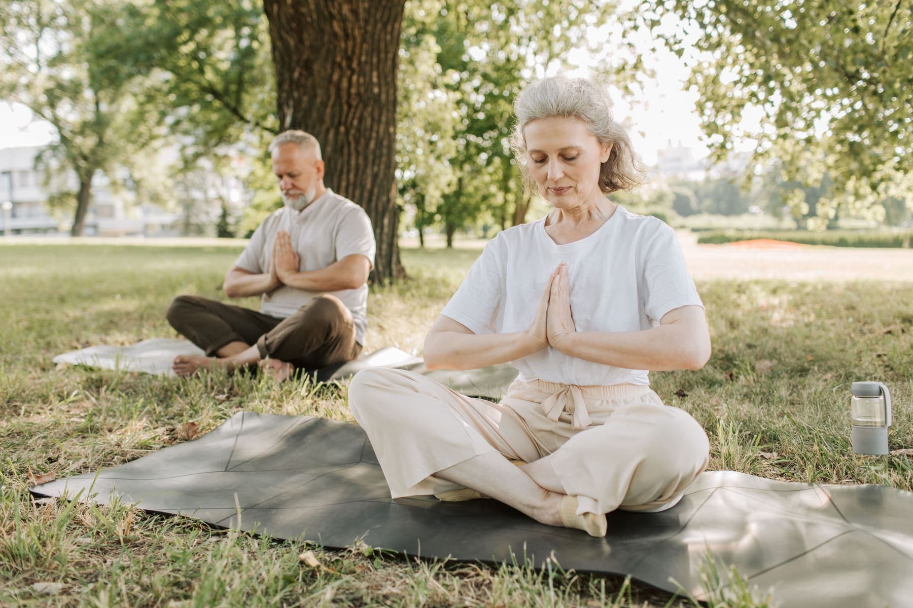 The Practitioners' Sanctuary: An Integrative Medicine Wellbeing Retreat for Physicians retreat image